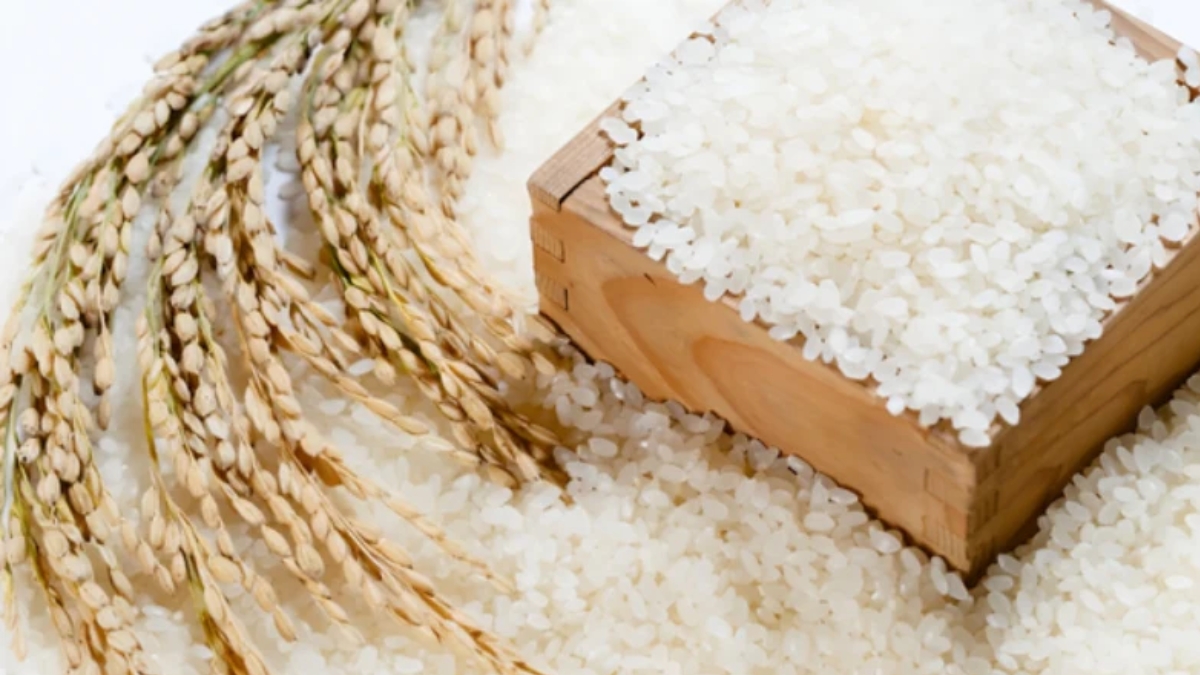 10 cách xử lý giày dép bị ẩm ướt trong mùa mưa