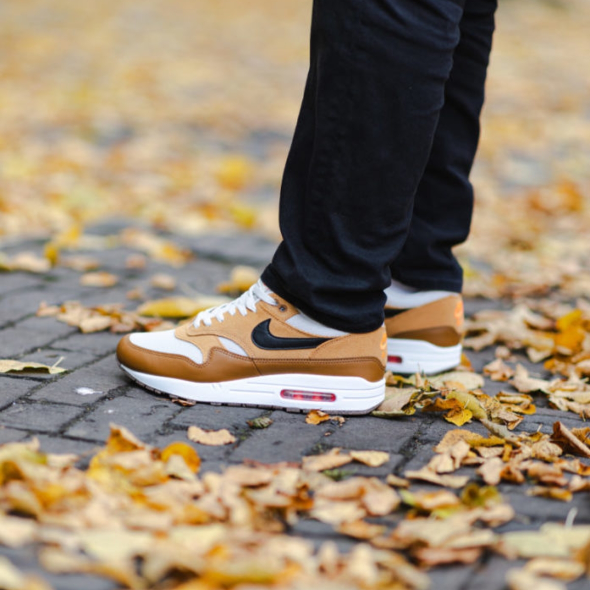 giày nike air max 1 ‘escape’ fz5808-004 (2) giày nike air max 1 ‘escape’ fz5808-004