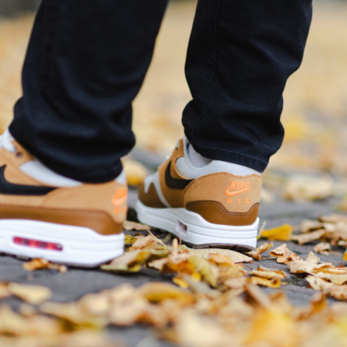 giày nike air max 1 ‘escape’ fz5808-004 (3) giày nike air max 1 ‘escape’ fz5808-004