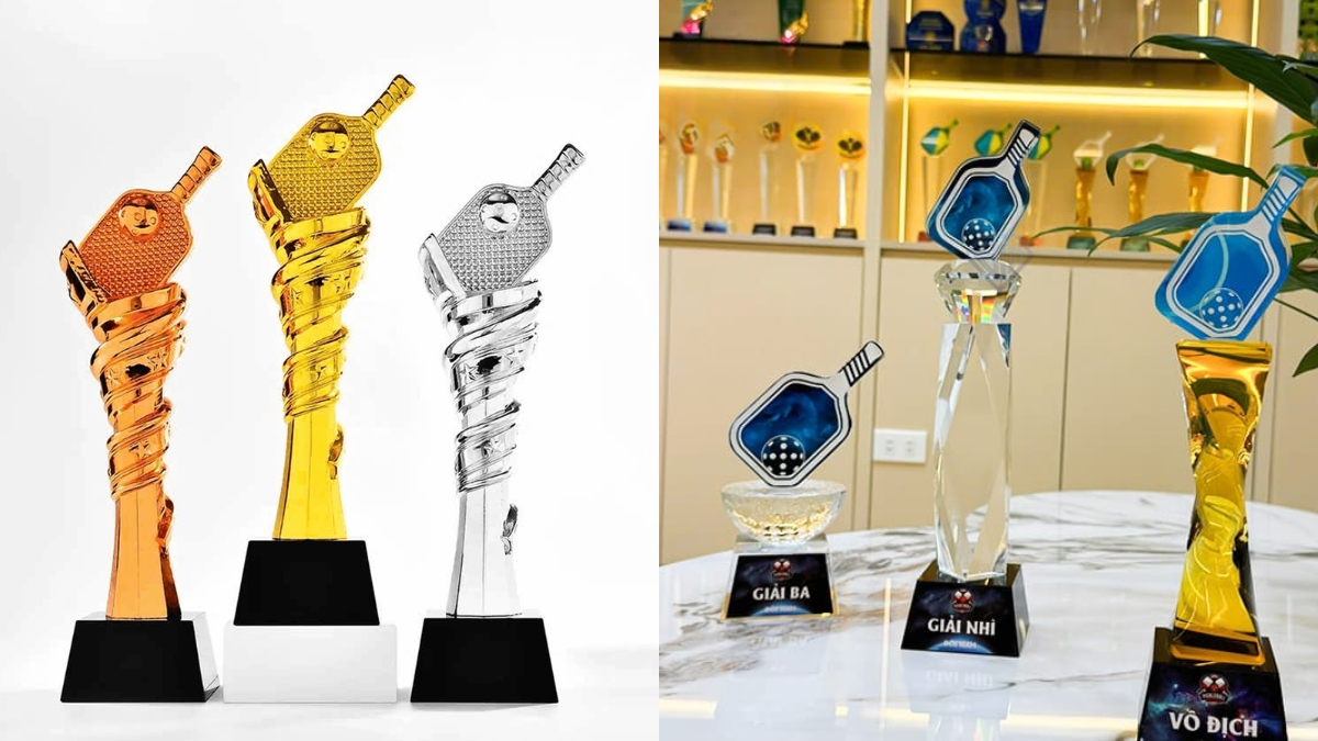 tổng hợp cúp pickleball đặc biệt và phổ biến nhất cho giải đấu