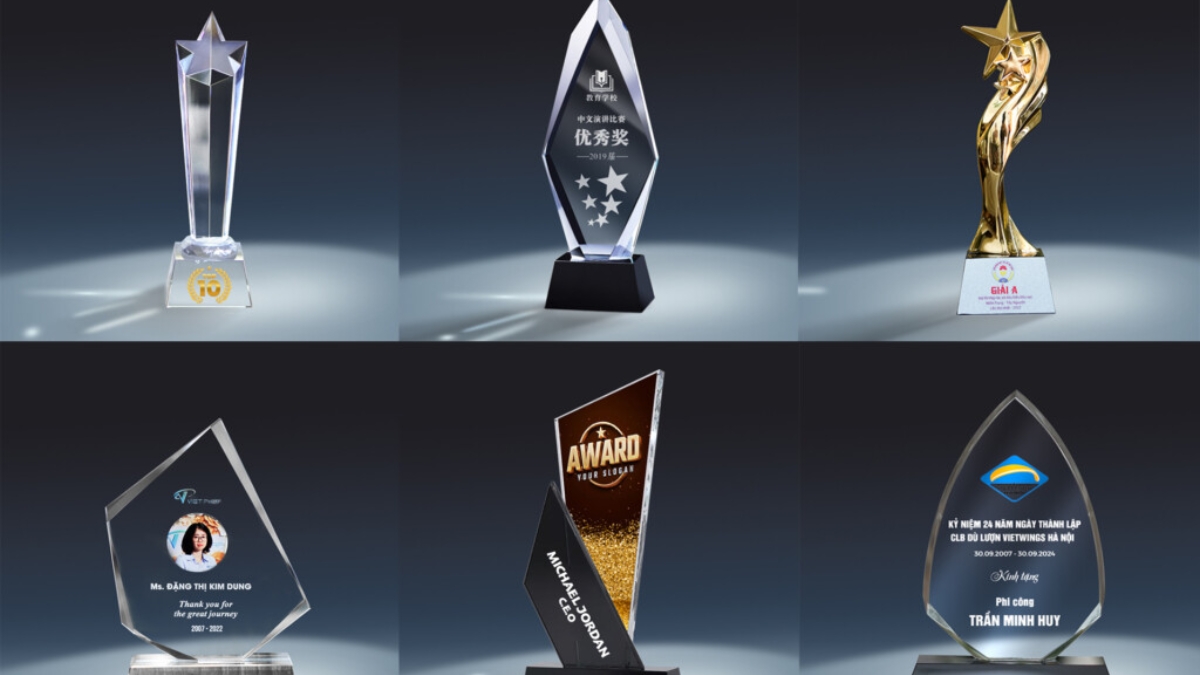 tổng hợp cúp pickleball đặc biệt và phổ biến nhất cho giải đấu