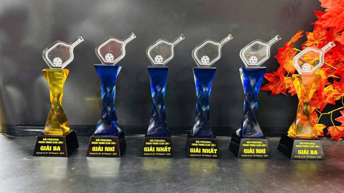 tổng hợp cúp pickleball đặc biệt và phổ biến nhất cho giải đấu