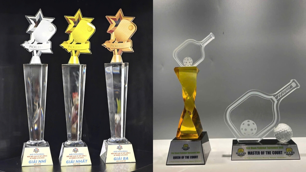 tổng hợp cúp pickleball đặc biệt và phổ biến nhất cho giải đấu