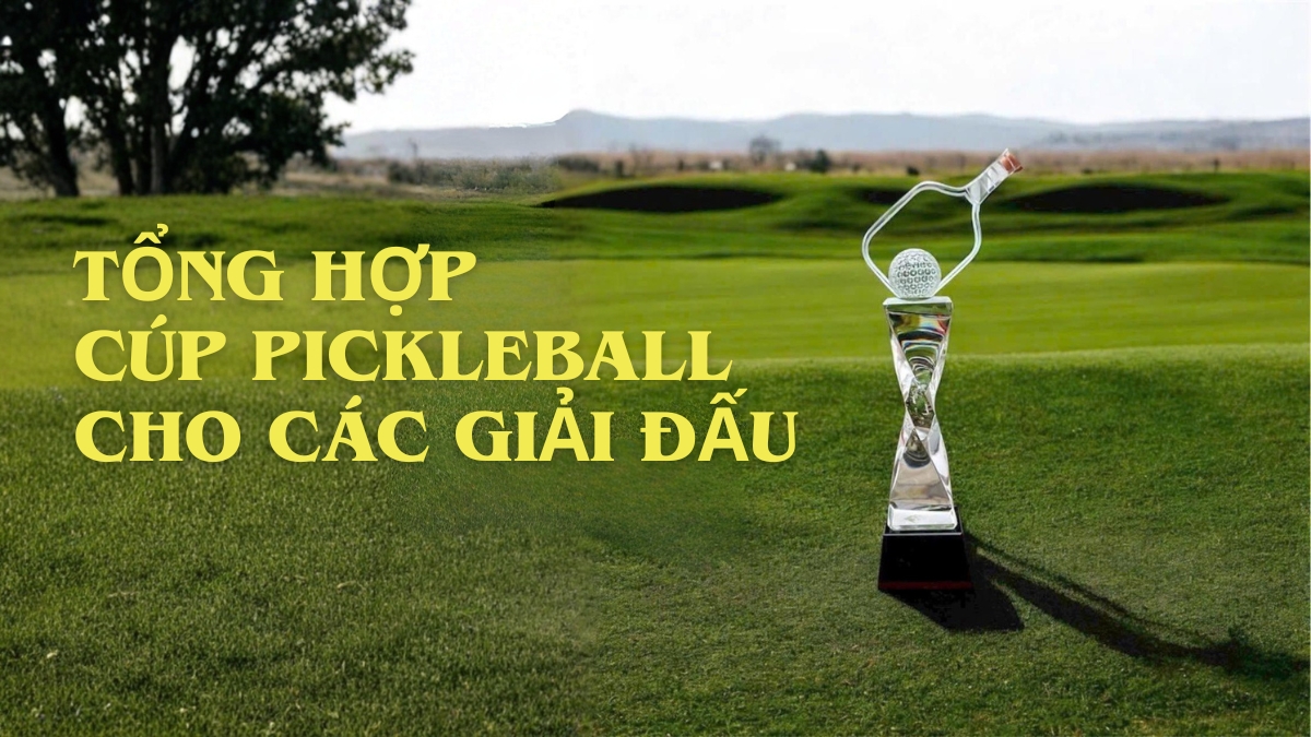 tổng hợp cúp pickleball đặc biệt và phổ biến nhất cho giải đấu